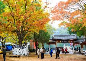 Du Lịch Hàn Quốc Mùa Lá Đỏ 6 Ngày 5 Đêm- Seoul - Jeju - Nami - Everland