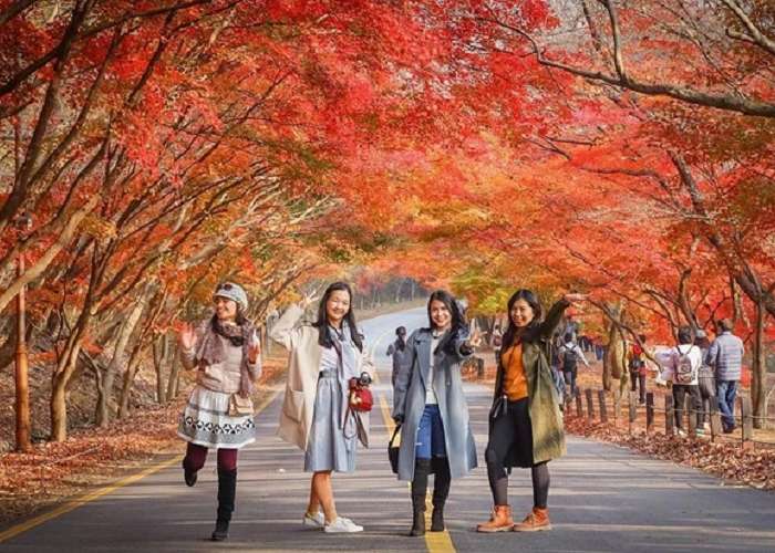 Tour Du Lịch Hà Nội – Seoul – Nami – Everland 5 Ngày 4 Đêm Mùa Lá Đỏ (Bay Vietjet Air)
