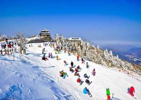 Tour Du Lịch Hàn Quốc 5 Ngày 4 Đêm - Trượt Tuyết Tại Yangji Pine (Bay Vietnam Airlines (VN))