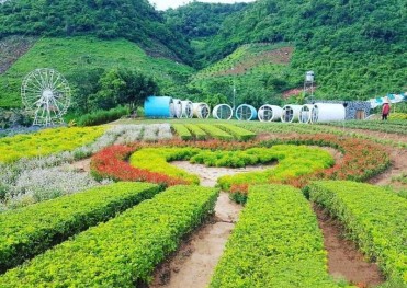 MỘC CHÂU - SĂN MÂY TÀ XÙA