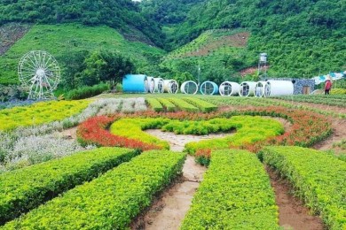 MỘC CHÂU - SĂN MÂY TÀ XÙA