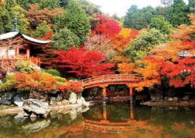 Tour Du Lịch Nhật Bản 5 ngày 4 đêm - Nhật Bản mùa lá đỏ