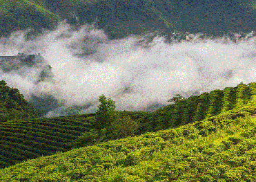 TOUR DU XUÂN SAPA - LAI CHÂU - ĐIỆN BIÊN - MỘC CHÂU - MAI CHÂU M3 TẾT