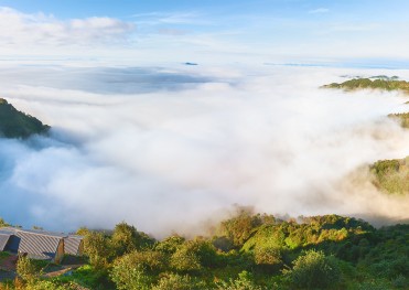 DU LỊCH 2026 SĂN MÂY TÀ XÙA - CHINH PHỤC SỐNG LƯNG KHỦNG LONG