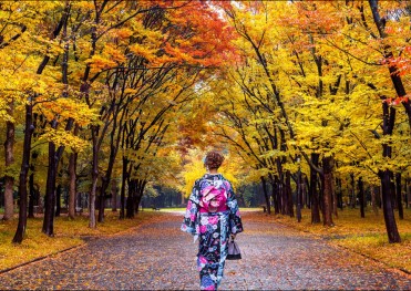 CUNG ĐƯỜNG VÀNG NHẬT BẢN 2025 TOKYO – PHÚ SĨ – KYOTO – OSAKA (NO SHOP)