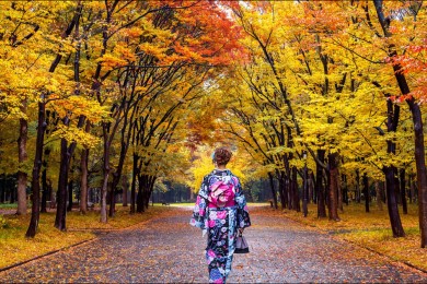 CUNG ĐƯỜNG VÀNG NHẬT BẢN 2025 TOKYO – PHÚ SĨ – KYOTO – OSAKA (NO SHOP)