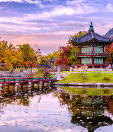 Du Lịch Hàn Quốc Theo Mùa: Mùa Nào Đẹp Nhất Cho Bạn?