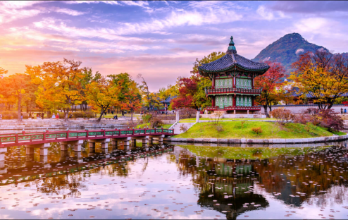 Du Lịch Hàn Quốc Theo Mùa: Mùa Nào Đẹp Nhất Cho Bạn?