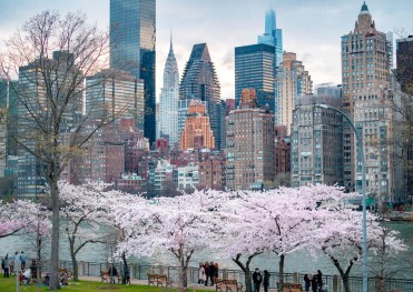 TOUR MỸ HOA ANH ĐÀO 2026 TẶNG VÉ VÀO CỬA: PHIM TRƯỜNG UNIVERSAL - ĐẠI VỰC GRAND CANYON KHỞI HÀNH HÀ NỘI 22/3