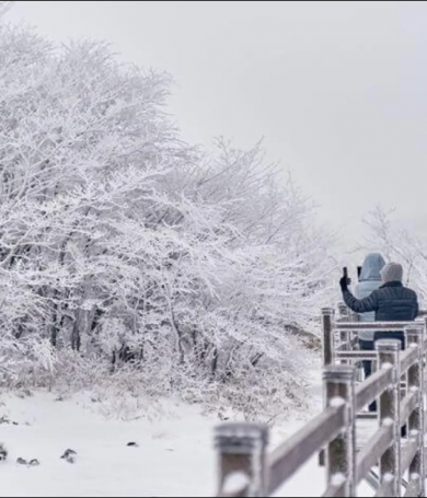 Khám Phá Jeju Mùa Đông: Vẻ Đẹp Yên Bình Và Trải Nghiệm Độc Đáo