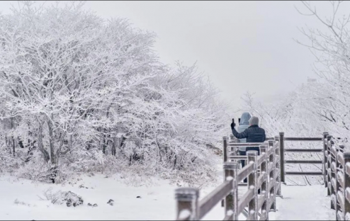 Khám Phá Jeju Mùa Đông: Vẻ Đẹp Yên Bình Và Trải Nghiệm Độc Đáo