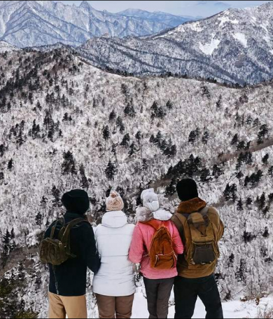 Rừng Bạch Dương Wondaeri Mùa Đông: Cẩm Nang Khám Phá Từ A–Z