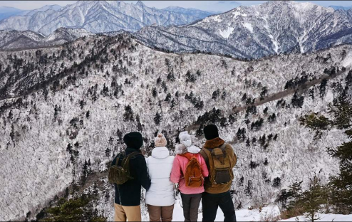 Rừng Bạch Dương Wondaeri Mùa Đông: Cẩm Nang Khám Phá Từ A–Z