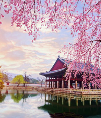 Top 10 Địa Điểm Du Lịch Hàn Quốc Nhất Định Phải Ghé 