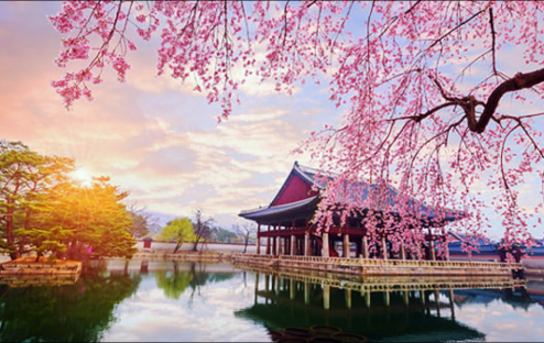 Top 10 Địa Điểm Du Lịch Hàn Quốc Nhất Định Phải Ghé 