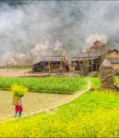 Top 7 địa điểm du lịch Hà Giang đẹp nhất hiện nay