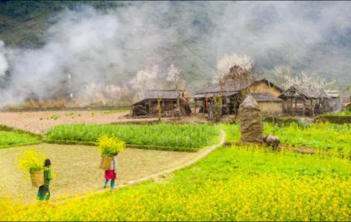 Top 7 địa điểm du lịch Hà Giang đẹp nhất hiện nay