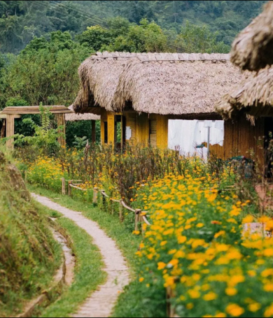 Top 8 homestay Hà Giang đẹp và đáng ở nhất