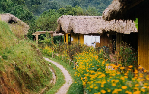 Top 8 homestay Hà Giang đẹp và đáng ở nhất