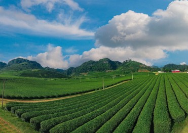 TOUR DU XUÂN SAPA - LAI CHÂU - ĐIỆN BIÊN - MỘC CHÂU - MAI CHÂU