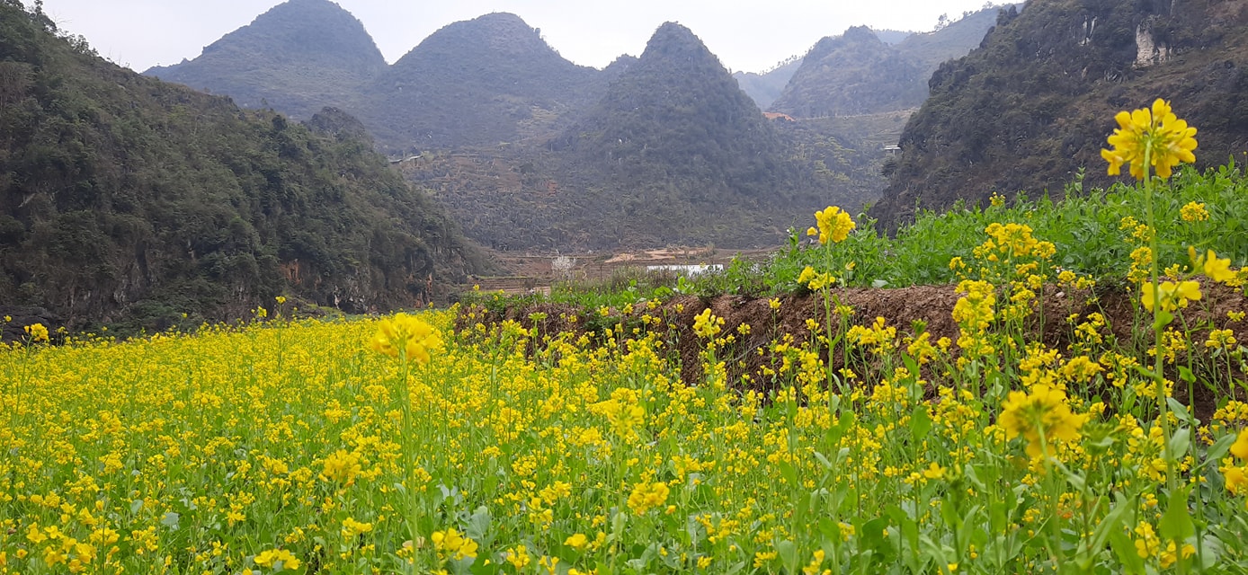 TOUR HÀ NỘI - HÀ GIANG - CAO NGUYÊN ĐÁ - HÀ NỘI