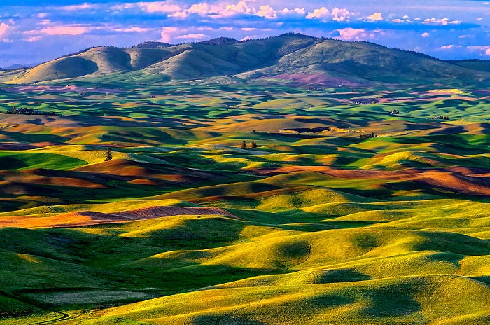 10diadiem-dulichmy-noitieng-gvt15 Thảo nguyên Palouse