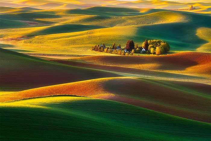 10diadiem-dulichmy-noitieng-gvt16 Vùng thảo nguyên Palouse