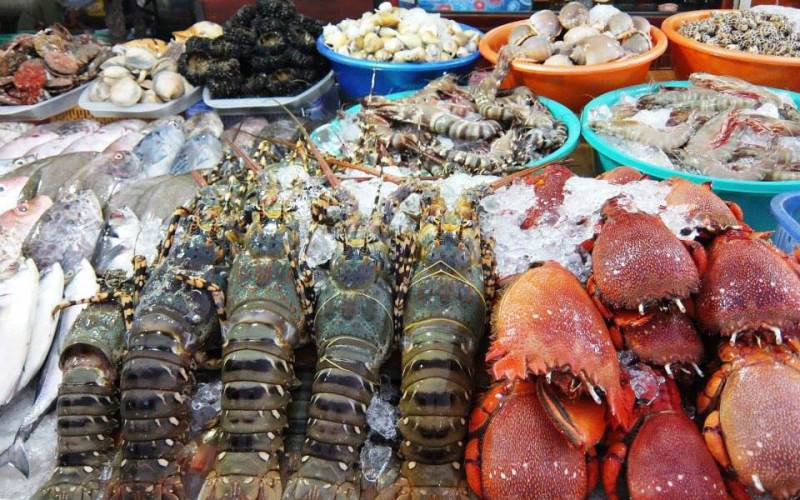 Hải sản tươi sống được bầy bán rất nhiều tại Nha Trang cho bạn thỏa thích lựa chọn