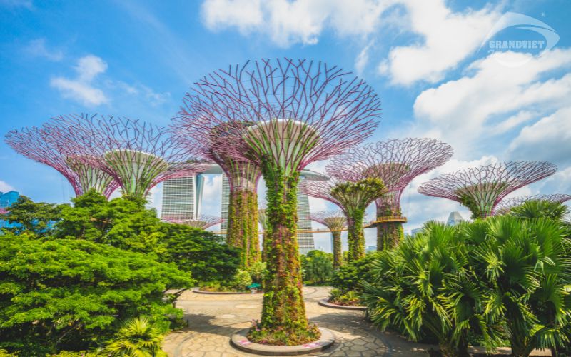Gardens by the Bay - Tour Singapore - Malaysia