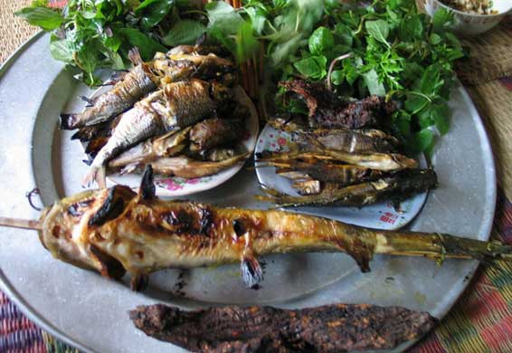 thưởng thức món cá muối sapa thơm lừng thưởng thức món cá suối nướng sapa thơm lừng