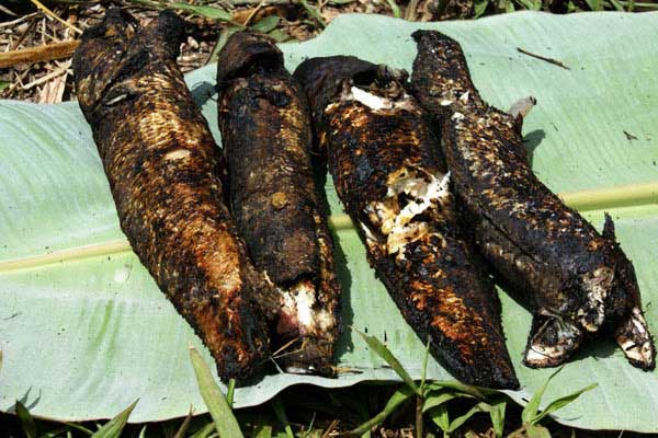 cá suối nướng sapa Cá suối nướng thơm nức mũi