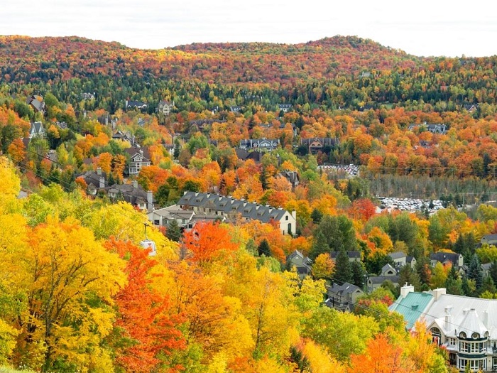 chiemnguongvedepcanadamuathu5 Dãy núi Laurentian