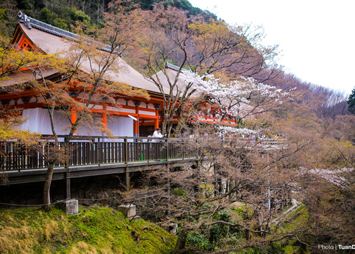 chua-kiyomizu-dera-chua-thanh-thuy-6 Chùa Thanh Thủy Nhật Bản
