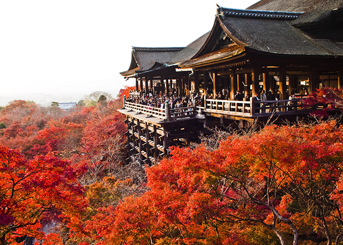 chua-kiyomizu-dera-chua-thanh-thuy Chùa Thanh Thủy Nhật Bản