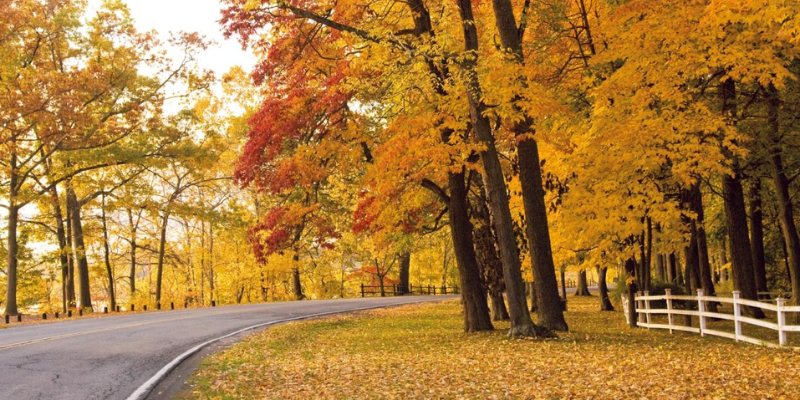 Đại lộ Niagara - Con đường đẹp nhất thế giới