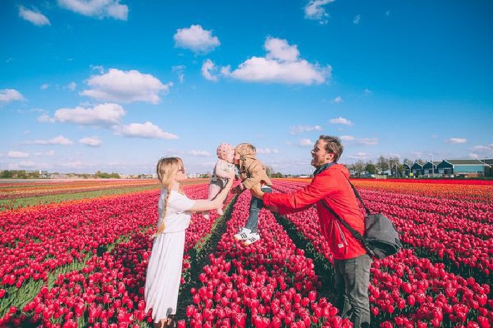 Hoa Tulip Keukenhof - Thiên đường mộng mơ tràn đầy nhựa sống