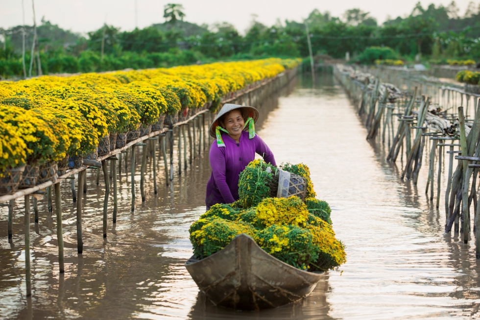 du lịch miền tây dịp tết