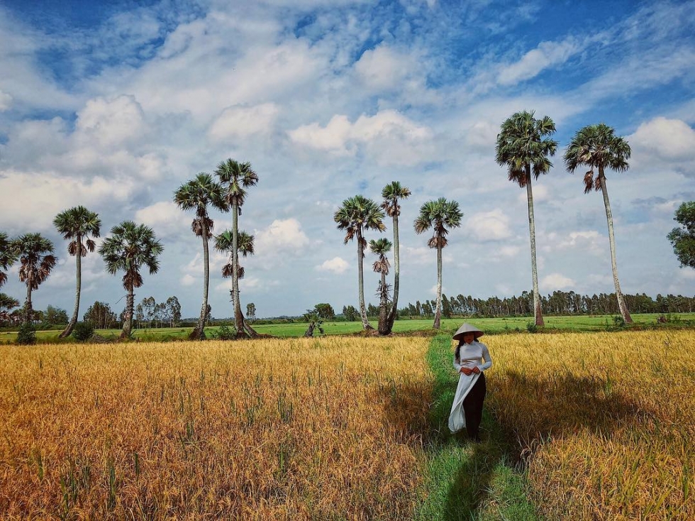 Cánh đồng Tà Pạ