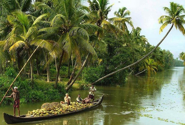 Xứ dừa Bến Tre