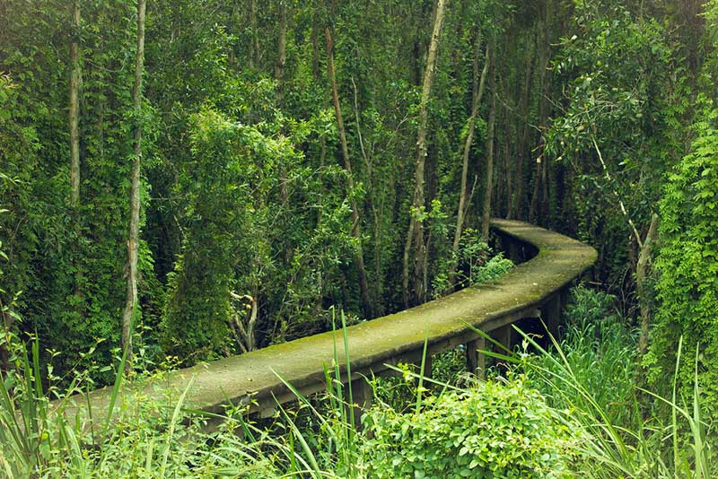 lang-noi-tan-lap-long-an Làng nổi Tân Lập, Long An