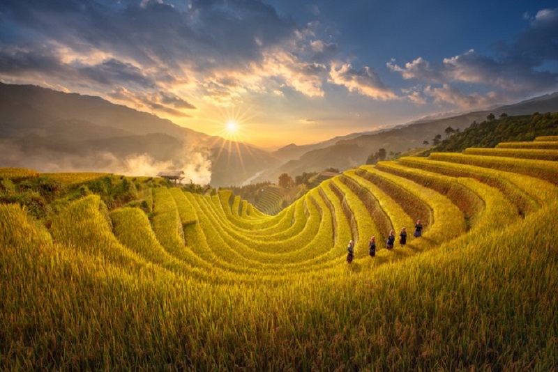 Tour Du Lịch Mù Cang Chải Mùa Lúa Chín 2 Ngày 1 Đêm