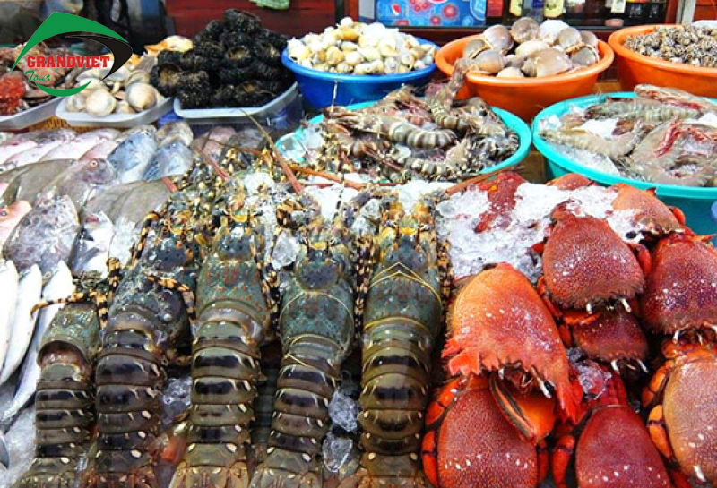 hai-san-phu-quoc-2 hai-san-tuoi