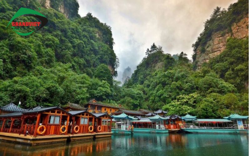 Hồ Bảo Phong-1