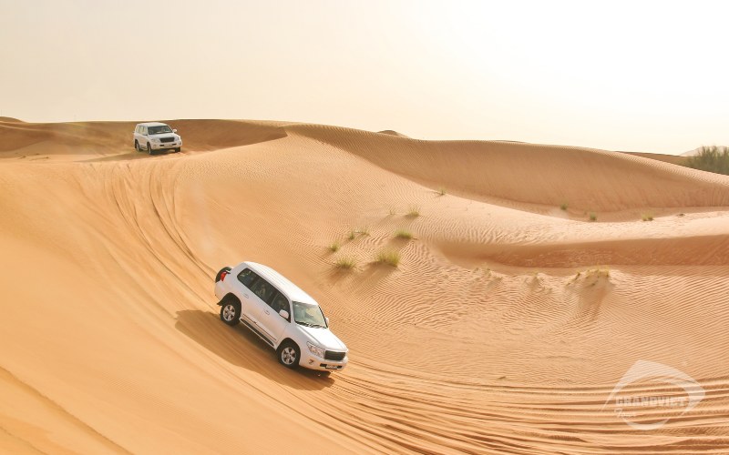 Khám phá Sa Mạc Safari