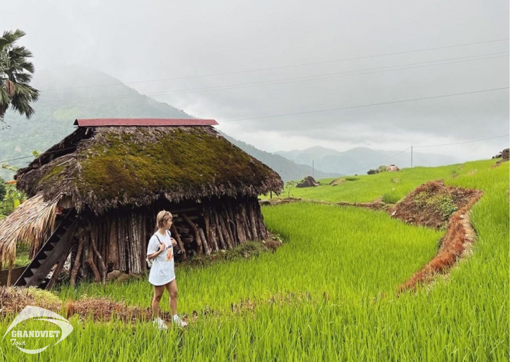 Tour Du Lịch Hà Giang 3 Ngày 4 Đêm - Cao Nguyên Đá - Khuổi My