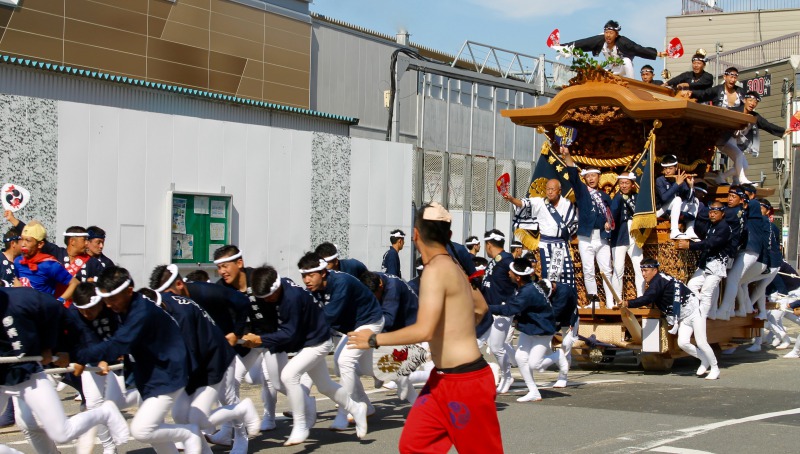 kishiwada-danjiri-matsuri Lễ hội Kishiwada Danjiri Matsuri