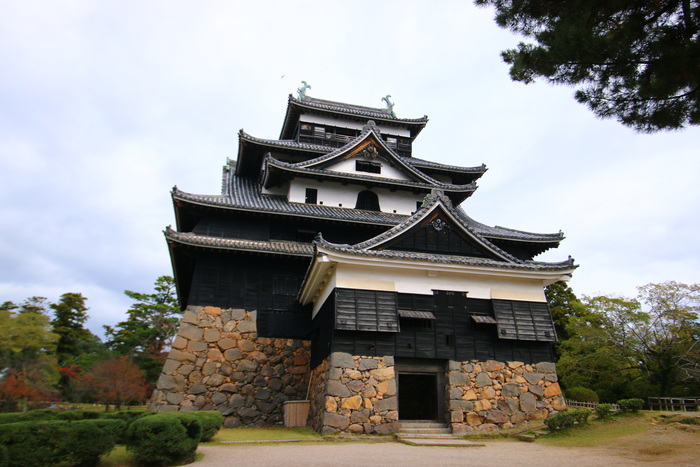 matsue Thành Matsue được bao bọc bởi rừng cây