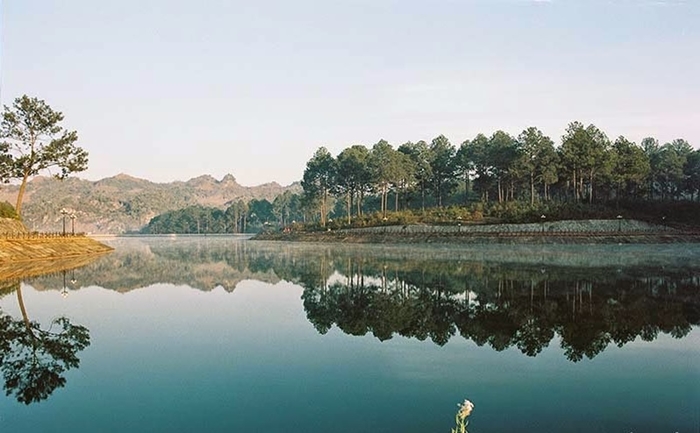 Rừng thông bản Áng