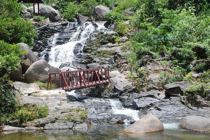 suoidangamdanang8