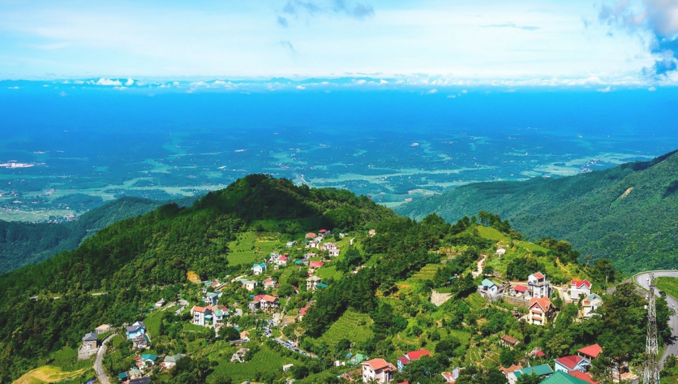 tam-dao tam-dao